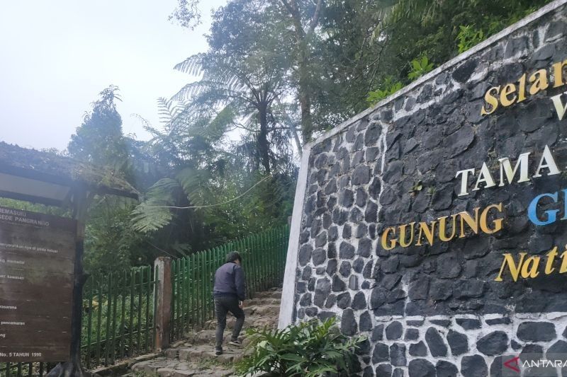 77 Pendaki Ilegal Gunung Gede Pangrango Kena Sanksi