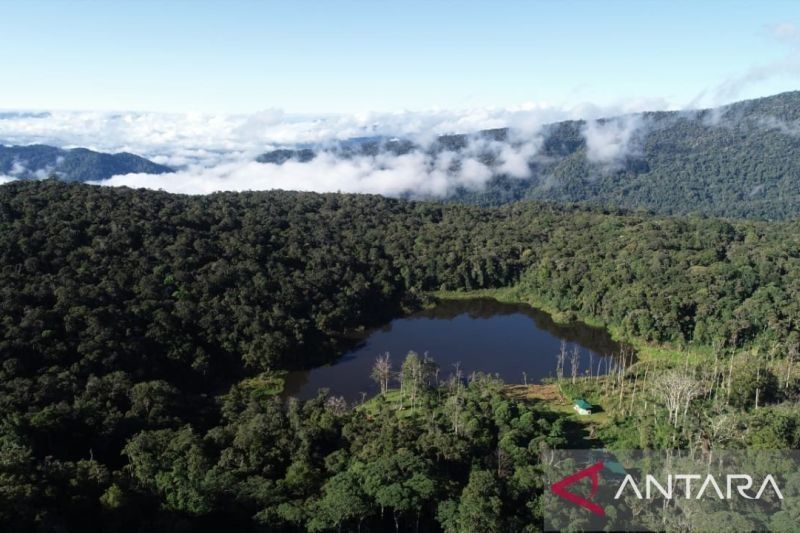 Taman Nasional Lore Lindu: Dokumentasi Visual Kini Berbayar