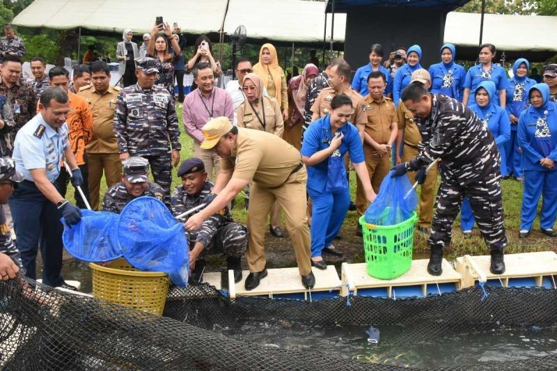 Lantamal Makassar Panen Ikan dan Tebar Benih, Dukung Ketahanan Pangan Nasional