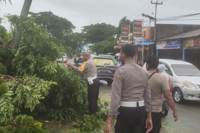 Waspada Cuaca Ekstrem: Imbauan BPBD Jayapura untuk Masyarakat