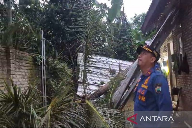 Pohon Tumbang Timpa Rumah di Kalianda, Lampung Selatan: Tak Ada Korban Jiwa