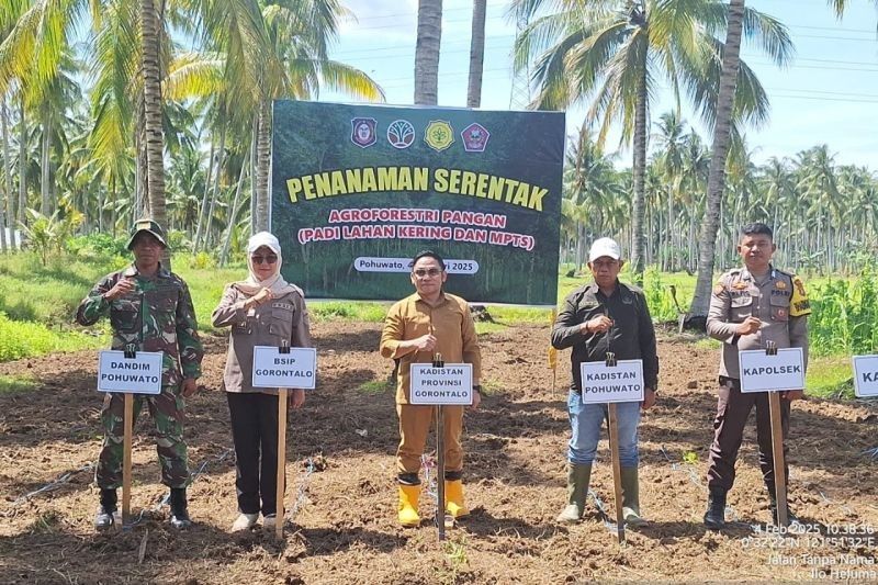 BSIP Gorontalo Dukung Agroforestri Pangan untuk Swasembada