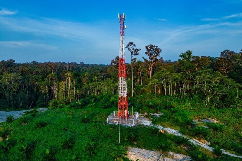 Telkomsel Bangun Ekosistem Digital Perkebunan di Papua