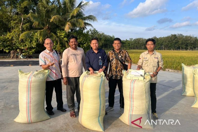 Bulog OKU Target Serap 40 Ribu Ton Gabah Petani di 2025