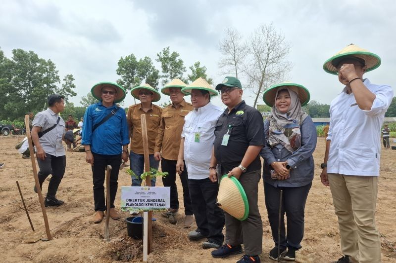 6000 Hektare Hutan Sosial Lampung: Potensi Besar Ketahanan Pangan Nasional