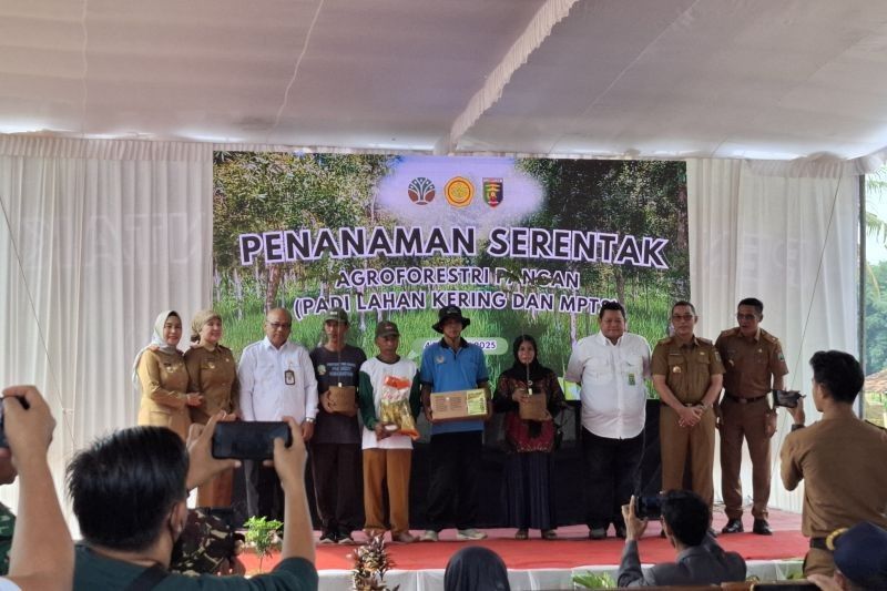 Kementan Bantu Benih Padi Petani Hutan Lampung: Dorong Swasembada Pangan