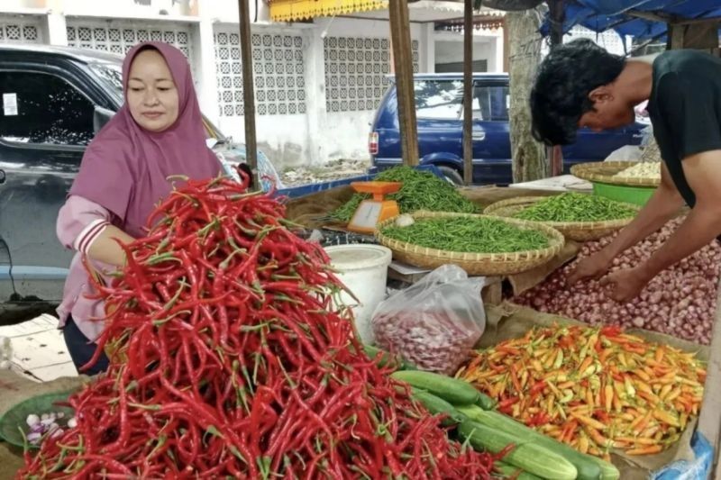 Pemkot Pekanbaru Pertimbangkan Operasi Pasar Atasi Lonjakan Harga Cabai