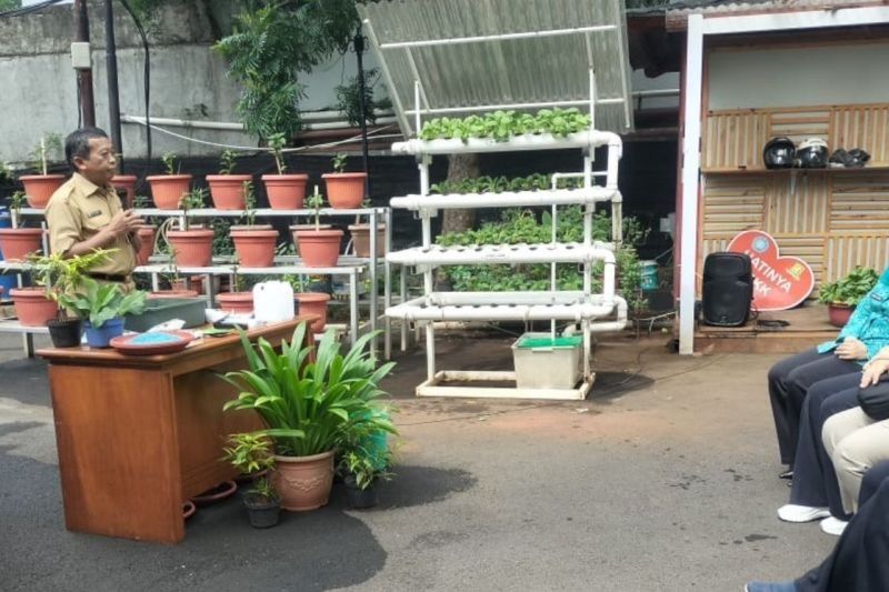 Warga Kepulauan Seribu Dilatih Urban Farming untuk Ketahanan Pangan