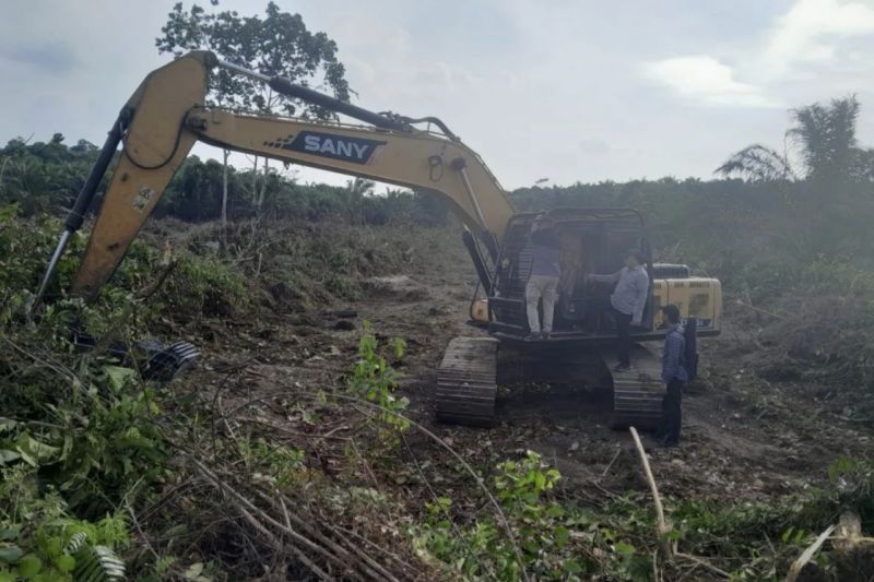 Tindak Tegas Perambah Hutan Mukomuko: Desakan Penegakan Hukum