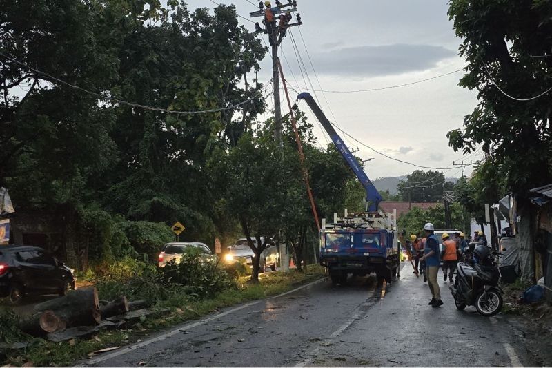 PLN Lampung Pulihkan 100% Kelistrikan Pasca Cuaca Ekstrem