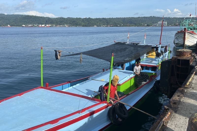 Peringatan BMKG: Gelombang Tinggi Ancam Perairan Maluku