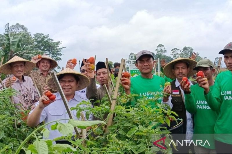 Baznas Garut Sukseskan Program Kemandirian Ekonomi Lewat Kelompok Tani