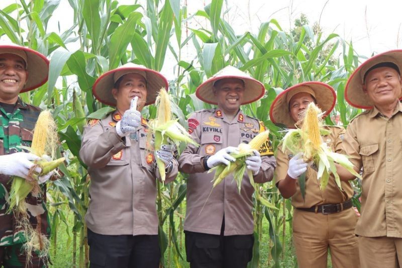 Polres OKU Timur Sukses Budidaya Sayuran dan Ikan, Dukung Ketahanan Pangan Nasional