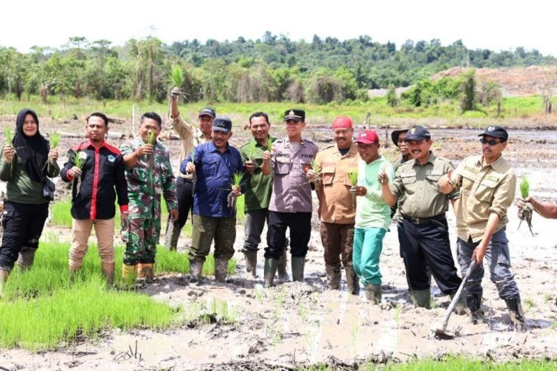 Bupati Kukar Tanam Padi, Semangati Petani Raih Ketahanan Pangan Kaltim