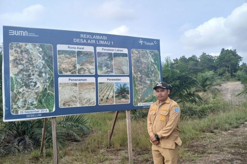 Sulap Bekas Tambang Timah Jadi Perkebunan Sawit: Desa Air Limau Makmur