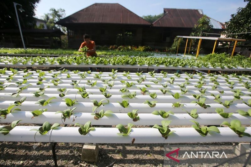 HKTI Aceh Dukung Penuh Program Makan Bergizi Gratis (MBG)