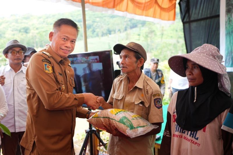 Sulsel Siapkan 1.600 Hektare Lahan untuk Padi Gogo, Targetkan Swasembada Beras