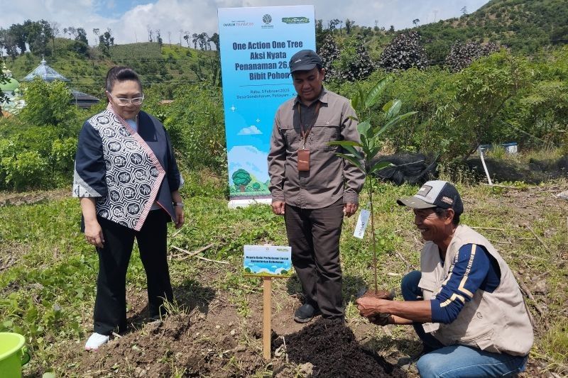 Petani Kudus Bertekad Jadi Penghasil Mangga Terbesar di Jateng