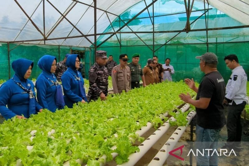 TNI AL Dukung Ketahanan Pangan Nasional lewat Pembinaan Kelompok Tani di Kutai Timur