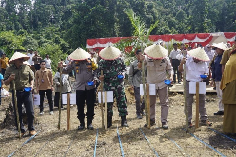 Pasaman Barat Pastikan Stok Pangan Aman Jelang Ramadhan