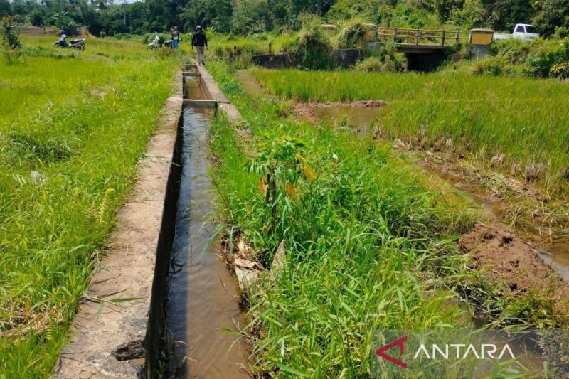 Rp300 Juta untuk Perbaikan Irigasi Rejang Lebong, Cukupkah?