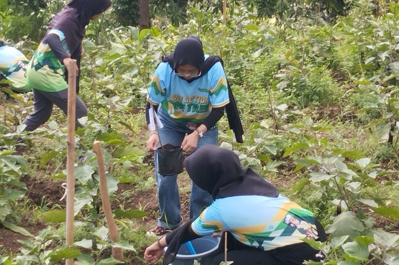 BLDF Tanam 2 Juta Pohon, Dorong Konservasi dan Kesejahteraan Petani