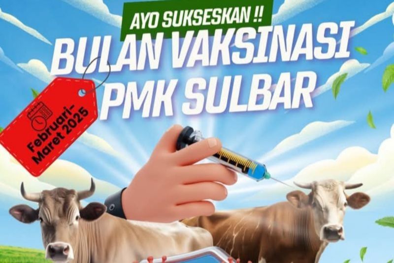 Sulbar Vaksinasi 9.000 Ternak Cegah PMK, Jaga Swasembada Daging Nasional