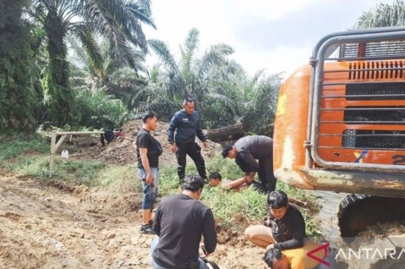 Polres Inhu Tangkap Perambah Hutan TNBT: MT Gunakan Alat Berat untuk Pembukaan Lahan Sawit Ilegal