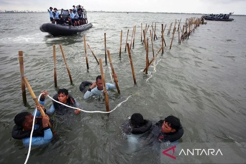 KKP Periksa Enam Perangkat Desa Terkait Pagar Laut Ilegal Tangerang