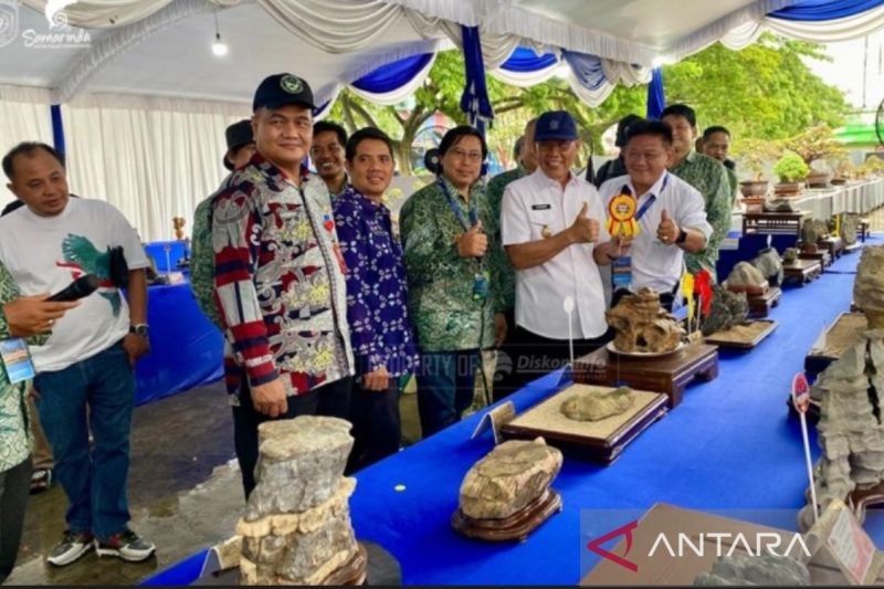 Pameran Nasional Bonsai dan Suiseki Samarinda 2025: Ratusan Karya Seni Dipamerkan