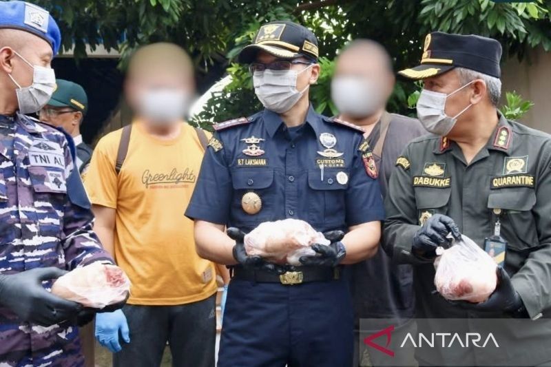 100 Kg Daging Babi Ilegal Dimusnahkan di Kalsel, Cegah ASF