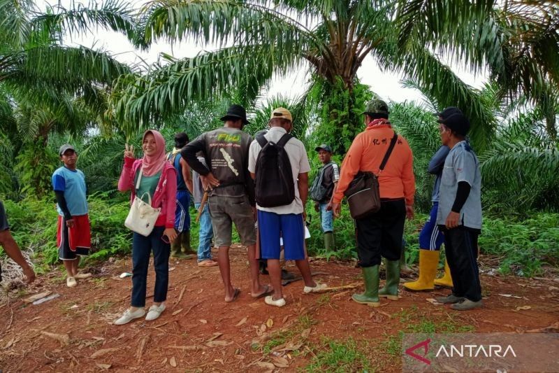 Data Penerima Perhutanan Sosial Mukomuko Diserahkan ke Polisi