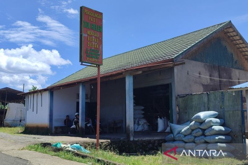 Pemkot Bengkulu Pastikan Harga Beli Gabah Sesuai HPP Rp6.500