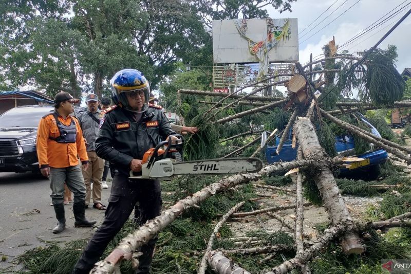 Polres Cianjur Koordinasi Pemangkasan Pohon Tua Rawan Tumbang