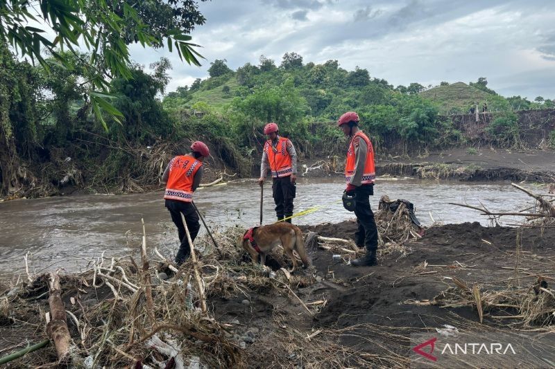 Anjing Pelacak Bantu Pencarian Korban Banjir Bima