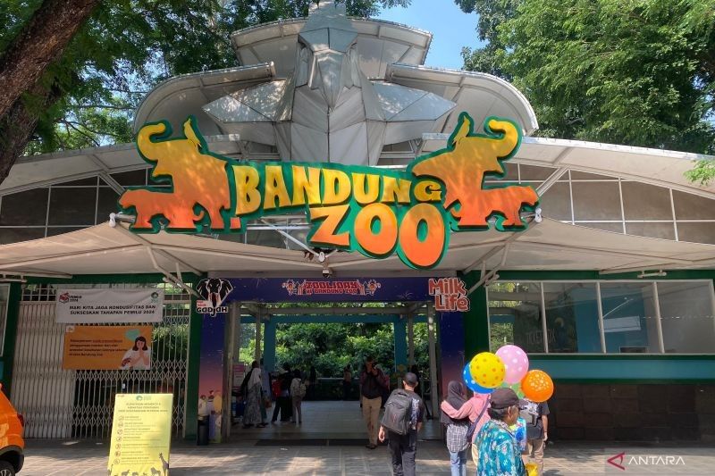 Pemkot Bandung Pastikan Tak Ada PHK Karyawan Bandung Zoo Usai Penyegelan