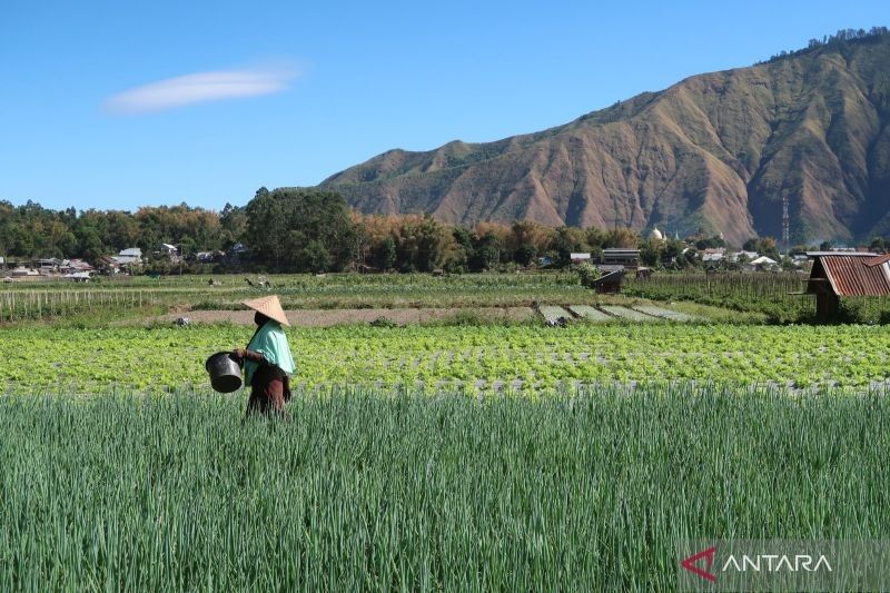 Dorong Ekonomi NTB, Fokus Optimalkan Sektor Non-Tambang