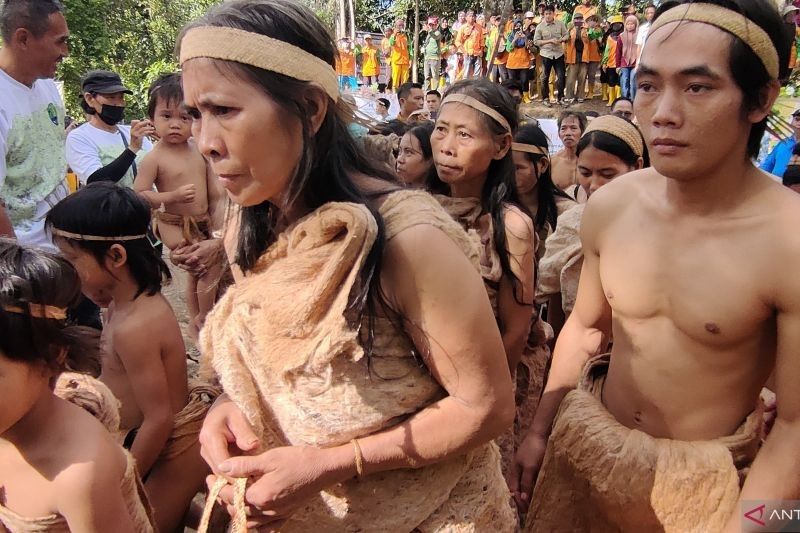 Masyarakat Adat Punan Batu Benau Desak Penindakan Tegas Perambahan Hutan