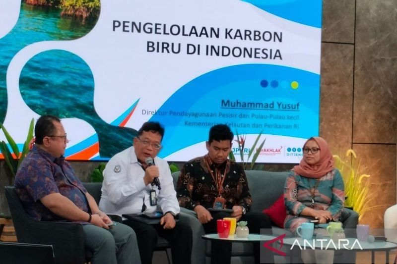 Potensi Karbon Biru Indonesia: Harta Karun untuk Mitigasi Perubahan Iklim