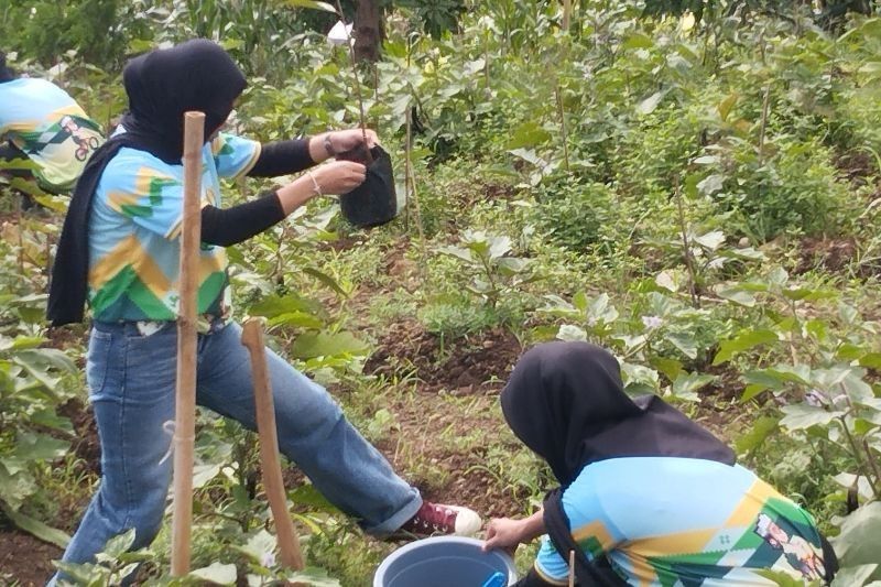 Milenial Ramai Tanam Pohon: #OneActionOneTree Sukses Lestarikan Alam