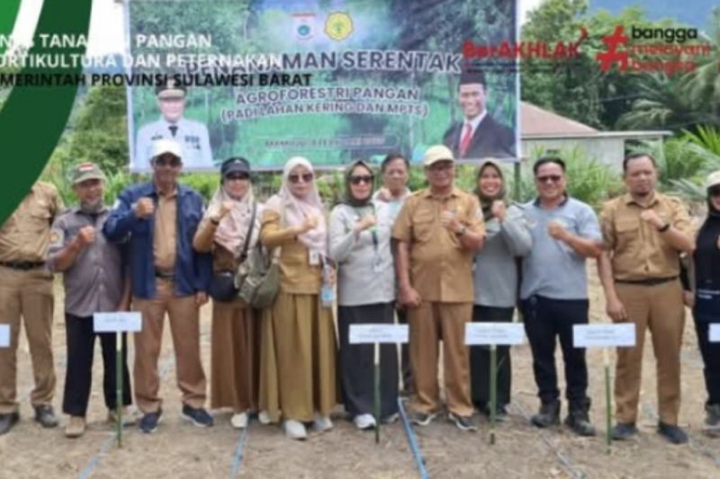 Sulbar Kembangkan Wanatani di Mamuju untuk Swasembada Pangan