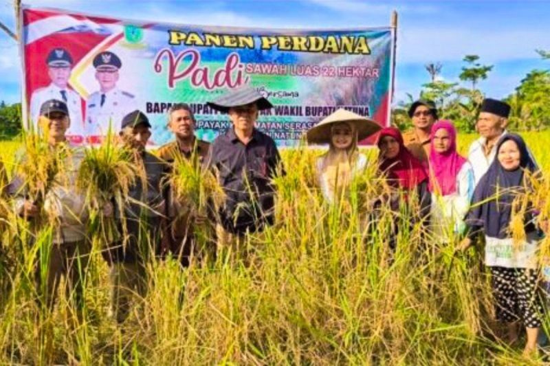 Natuna Targetkan Tanam Padi 114 Hektare, Dorong Ketahanan Pangan Nasional