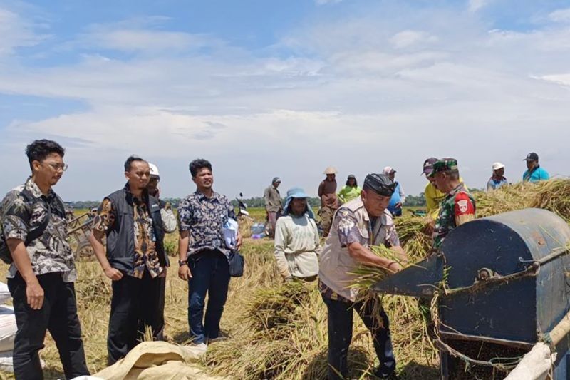 Bulog Banyumas Serap Gabah Petani dengan HPP Baru Rp6.500 per Kg