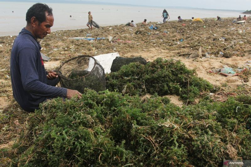 Hujan Guyur Kota-Kota Besar Indonesia; BMKG Imbau Waspada