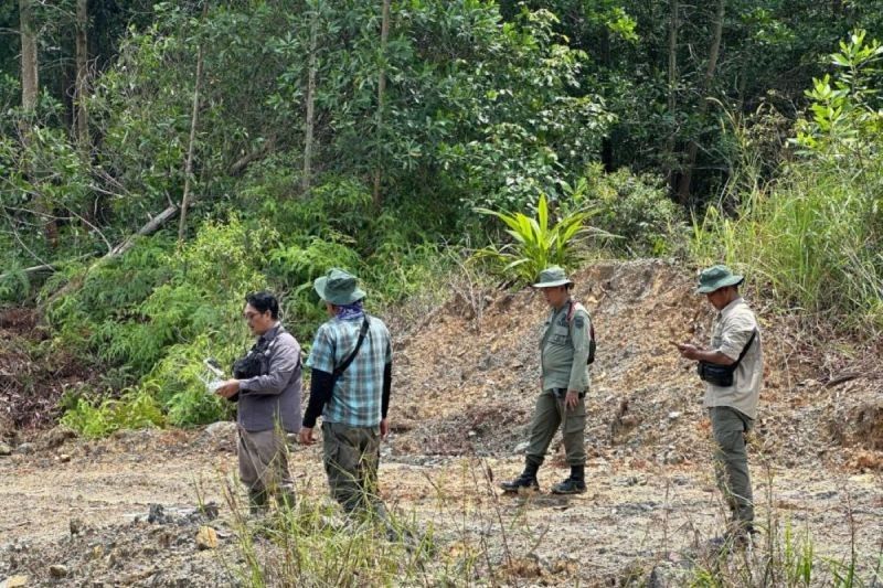 Lima Pelaku Perambahan Hutan 150 Hektare di Riau Ditangkap