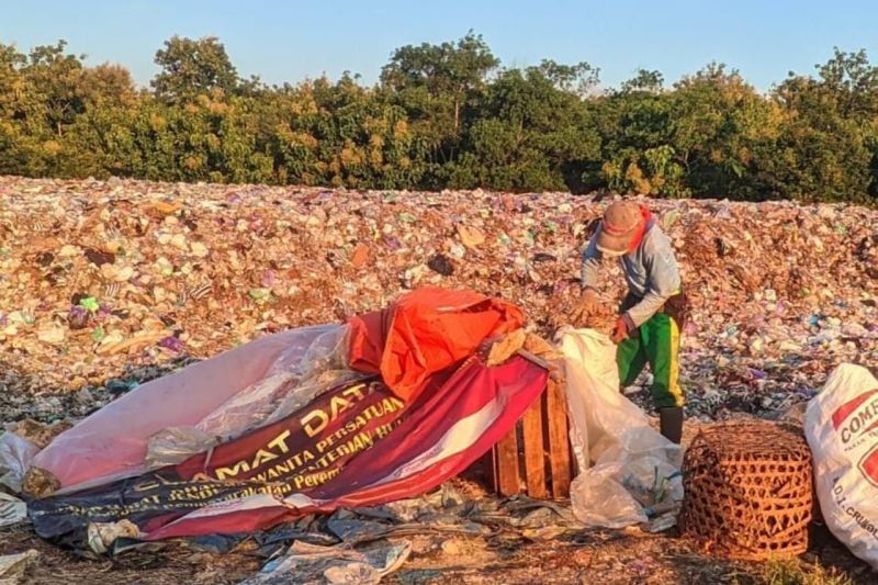 Penundaan Pengadaan Mesin Pengolah Sampah di Kulon Progo: Dampak Jangka Pendek Minim, Namun...