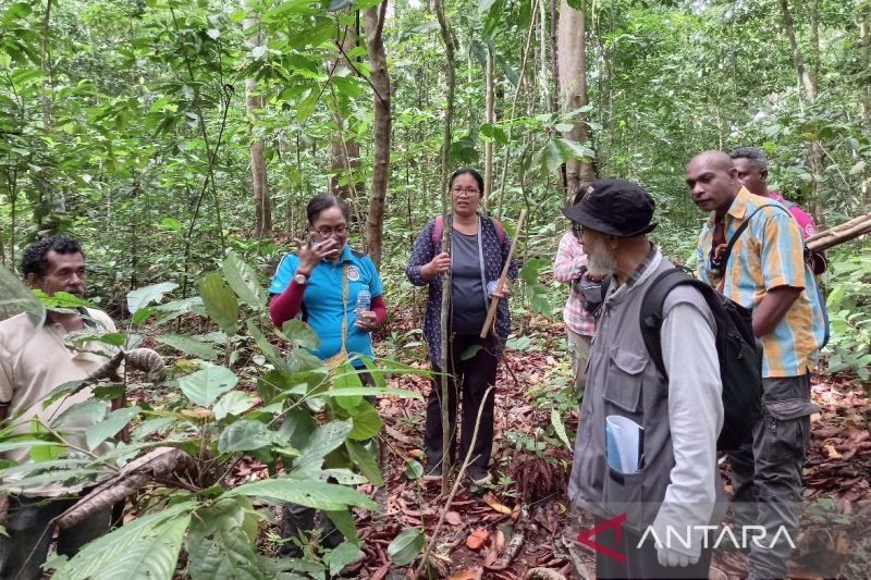 Unipa Papua Tingkatkan SDM Pengelolaan Tanaman Obat