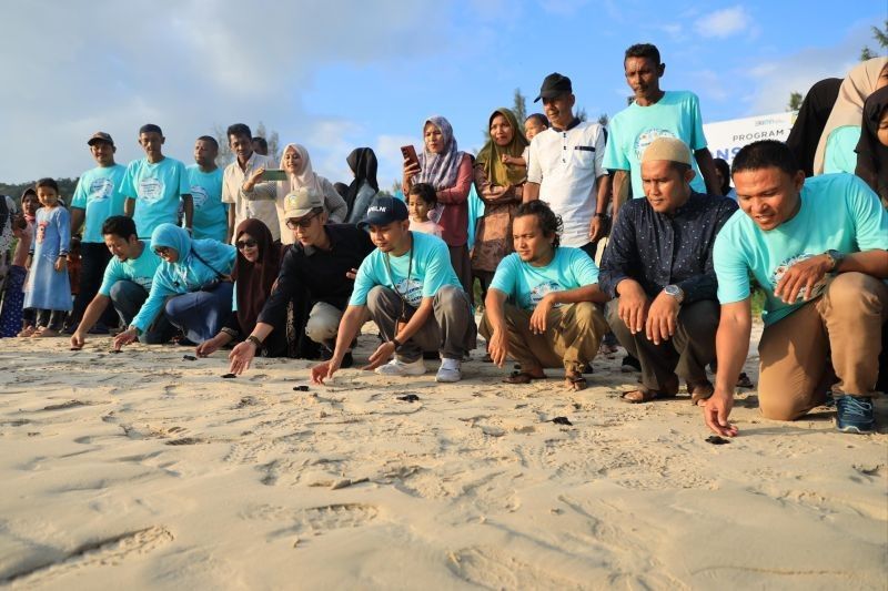 Pelni Lepas 100 Tukik di Aceh, Dorong Konservasi Penyu dan Ekonomi Lokal