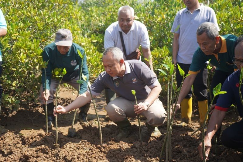 Trenggalek Tanam 750 Bibit Mangrove: Lestarikan Alam, Dongkrak Ekonomi