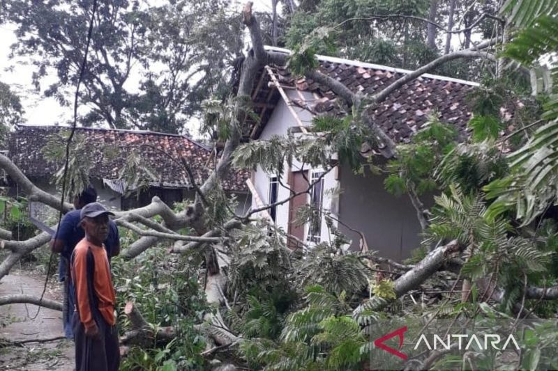 Waspada Cuaca Ekstrem! BPBD Cianjur Imbau Warga Tingkatkan Kewaspadaan